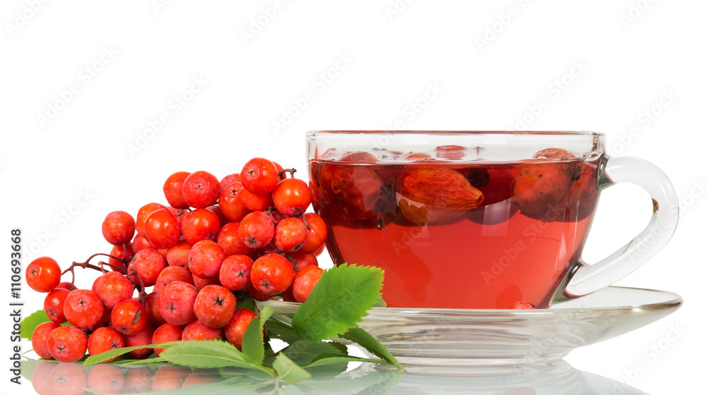 Rowan berries and cup of tea with wild rose isolated. Rowan berries and cup of tea with wild rose isolated.
