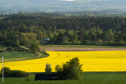 Utsikt över Harlösagårdens marker. photo