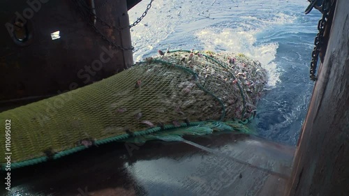 Rise of the trawl to the vessel, full of fish