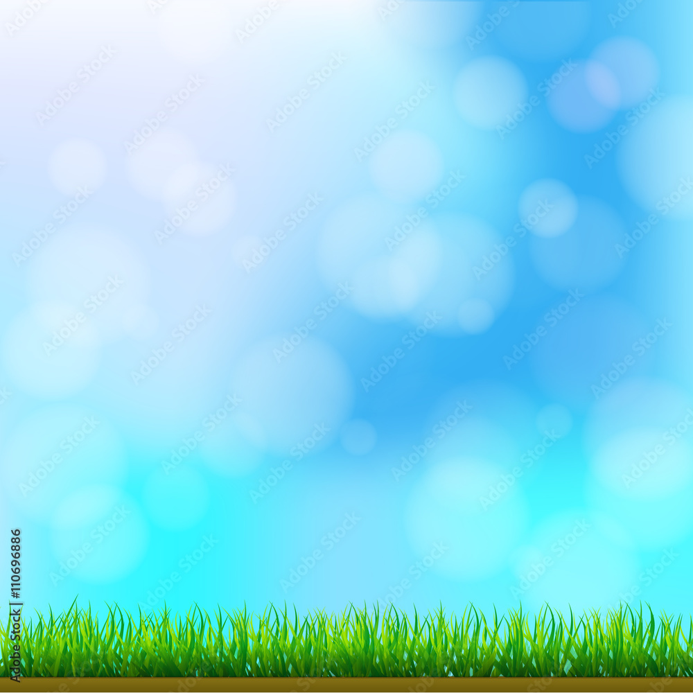 Natural Green Grass Background with Focus and Bokeh