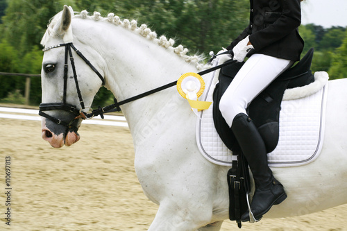 Head of a young dressage horse with unknown rider in action with yellow award ribbon
