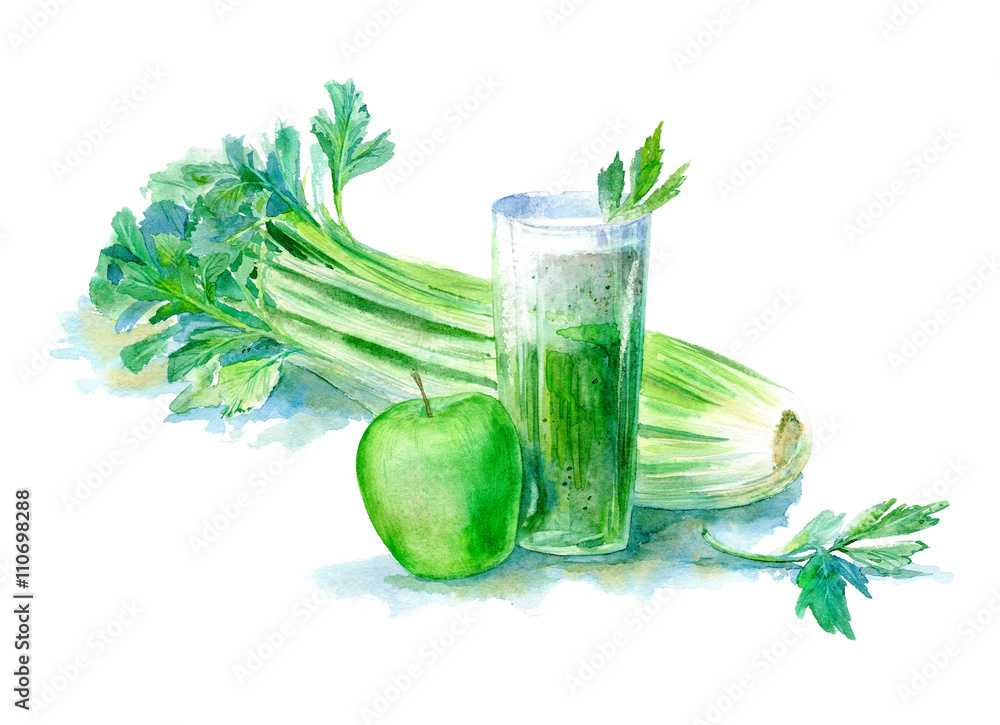 Fruit and vegetable green smoothie.Celery and apple juice.Food picture.Fruit cocktail for healthy life, diet.Watercolor hand drawn illustration. Fruit and vegetable green smoothie.Celery and apple juice.Food picture.Fruit cocktail for healthy life, diet.Watercolor hand drawn illustration.