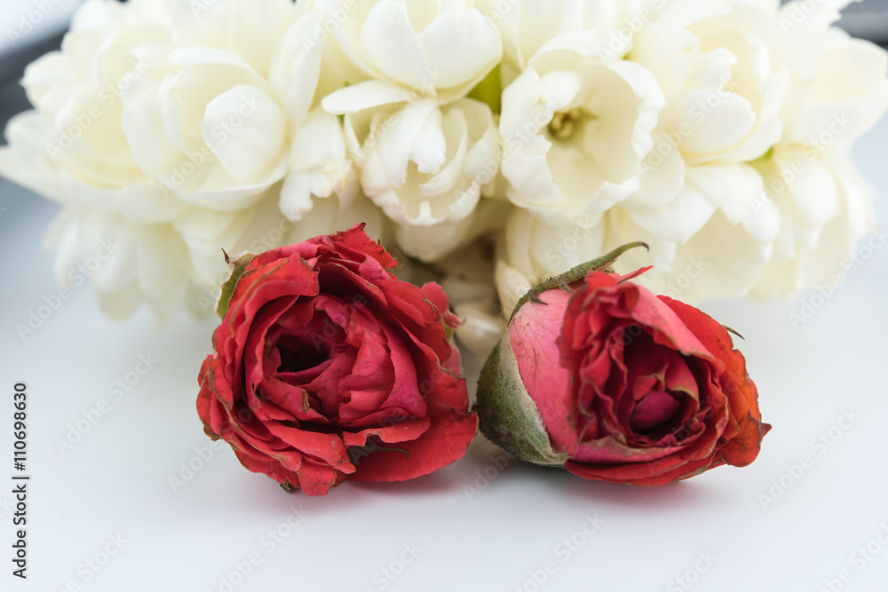 Fototapeta premium Jasmine garland of flowers