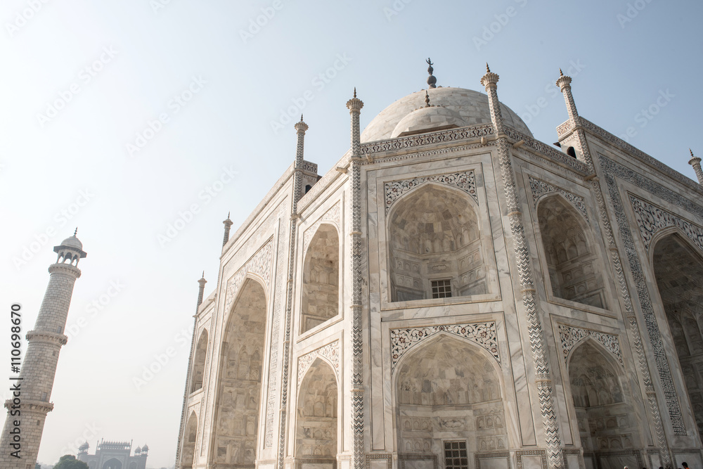 Beautiful Artwork in Taj Mahal