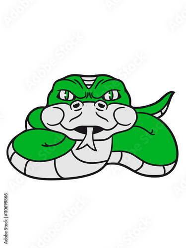 angry dangerous snake constrictor comic cartoon design