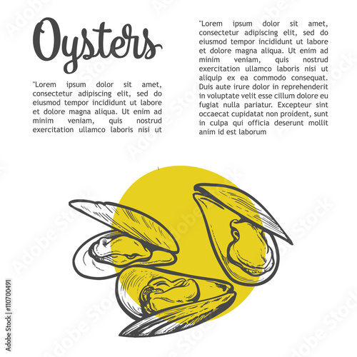 Oysters with lettering, vector sketch illustration of molluscs, half-open oysters on a white background with a yellow spot illustration for registration of sea food menu, fresh marine oyster