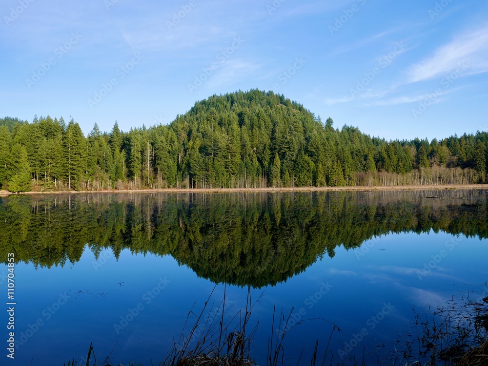 Green Hills Reflection in Calm Water. Northeast Coquitlam, British Columbia, alongside Pitt-Addington Marsh and the Pitt River. Canada. 
