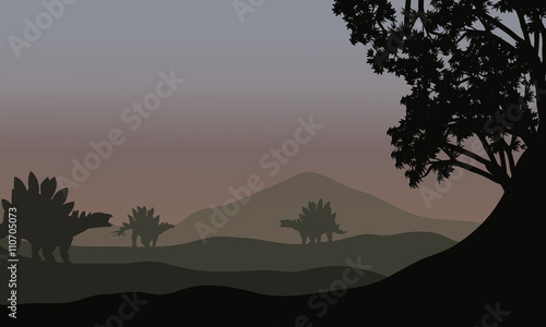 Silhouette of stegosaurus in fields