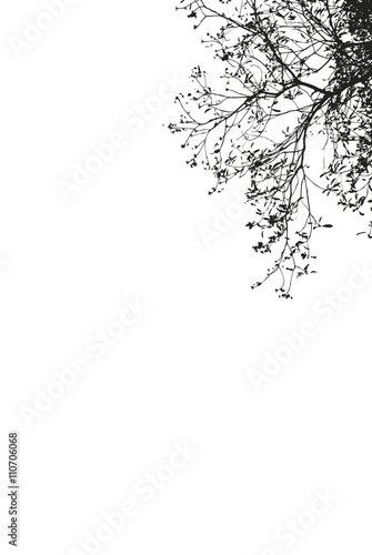 Black tree on white background
