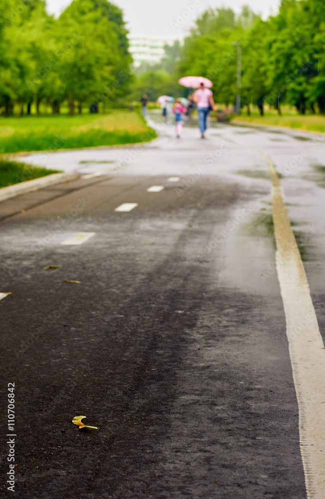 wet pavement on a rainy day
