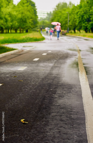 wet pavement on a rainy day