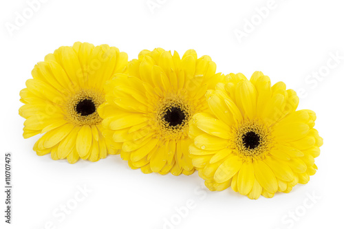 three yellow flowers.