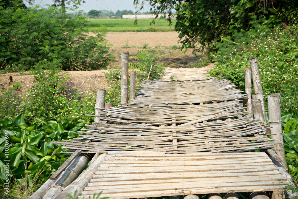 bamboo bridge