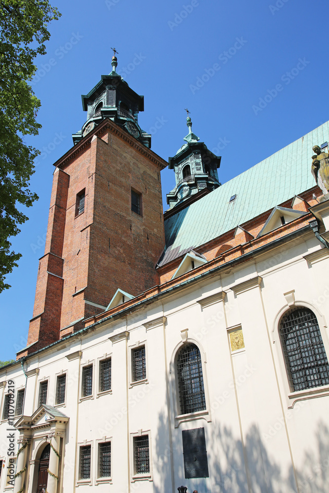 Fototapeta premium Gniezno Cathedral Poland