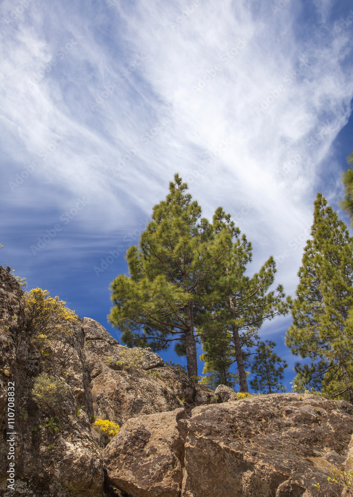 Gran Canaria, Rock formation at Risco Chapi Gran Canaria, Rock formation at Risco Chapi