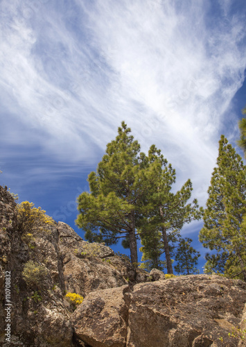 Gran Canaria, Rock formation at Risco Chapi photo