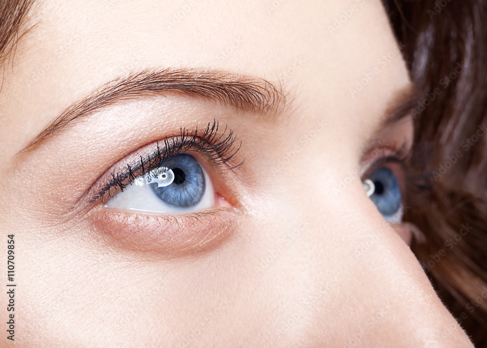 Fototapeta premium female eye zone and brows with day makeup