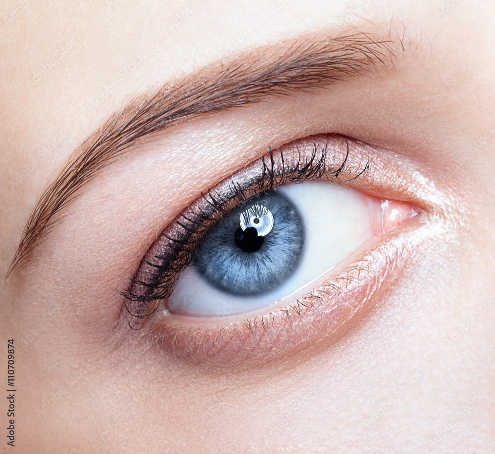 Fototapeta premium female eye zone and brows with day makeup