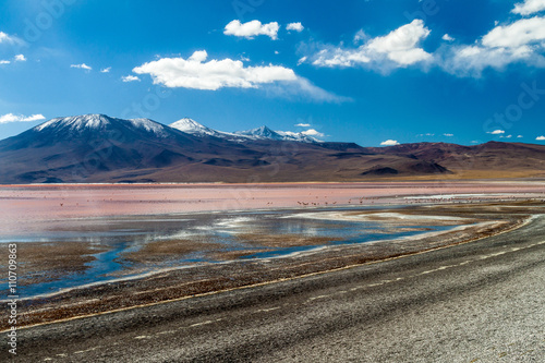 Flamingos in Laguna Colorada lake on bolivian Altiplano