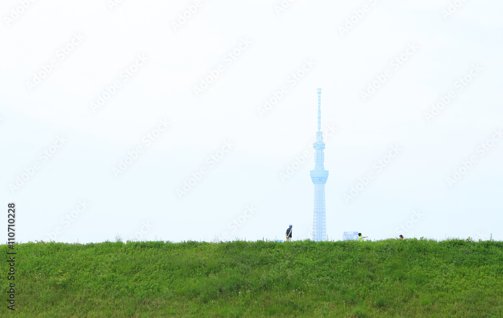 Fototapeta premium 東京の風景 緑の草原とスカイツリー