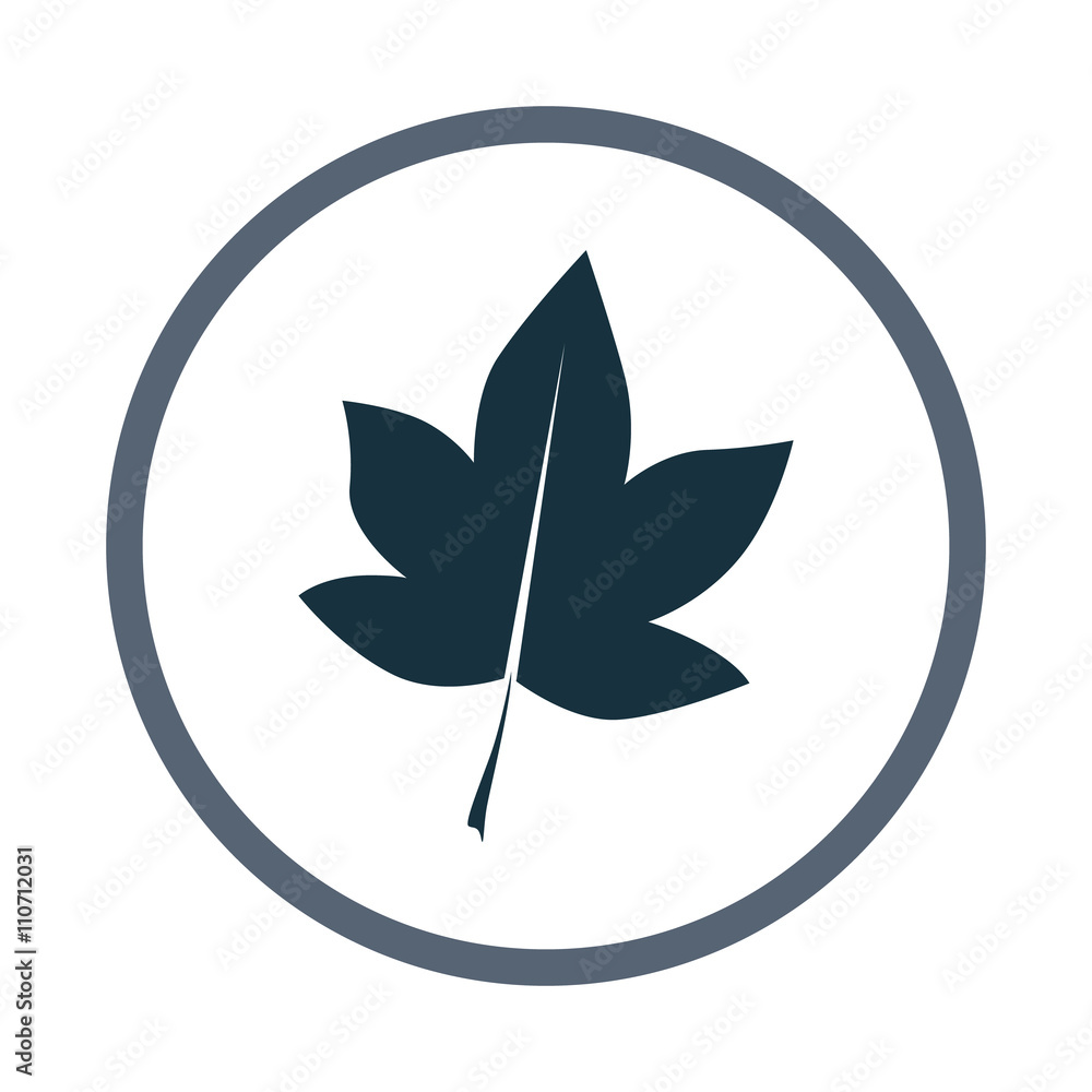 Obraz premium Tree leaf icon