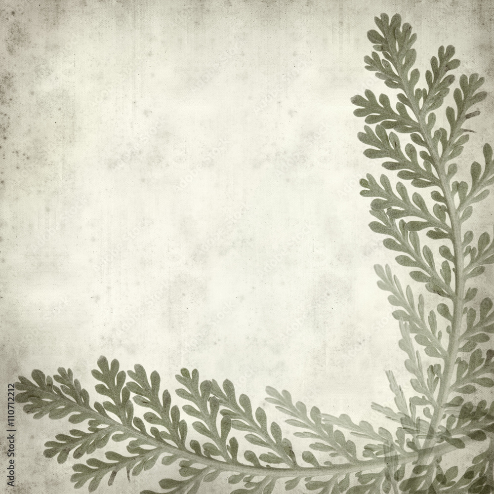 Obraz premium textured old paper background