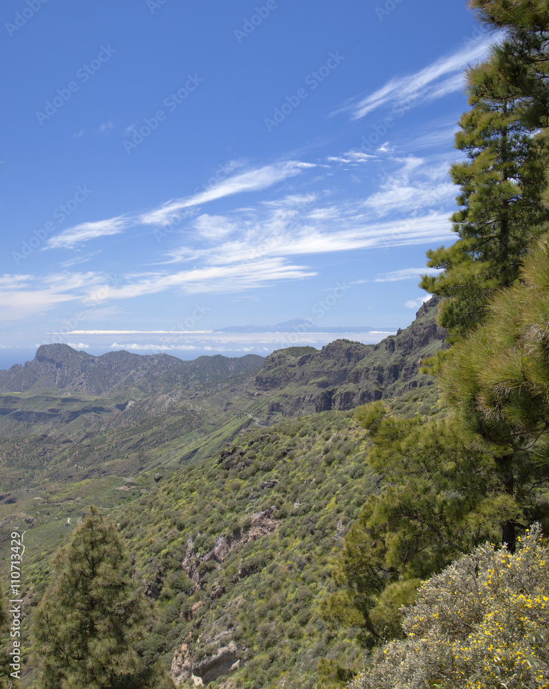 Gran Canaria, Calders de Tejeda in April