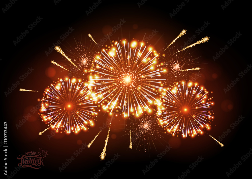 Obraz premium Vector holiday fireworks