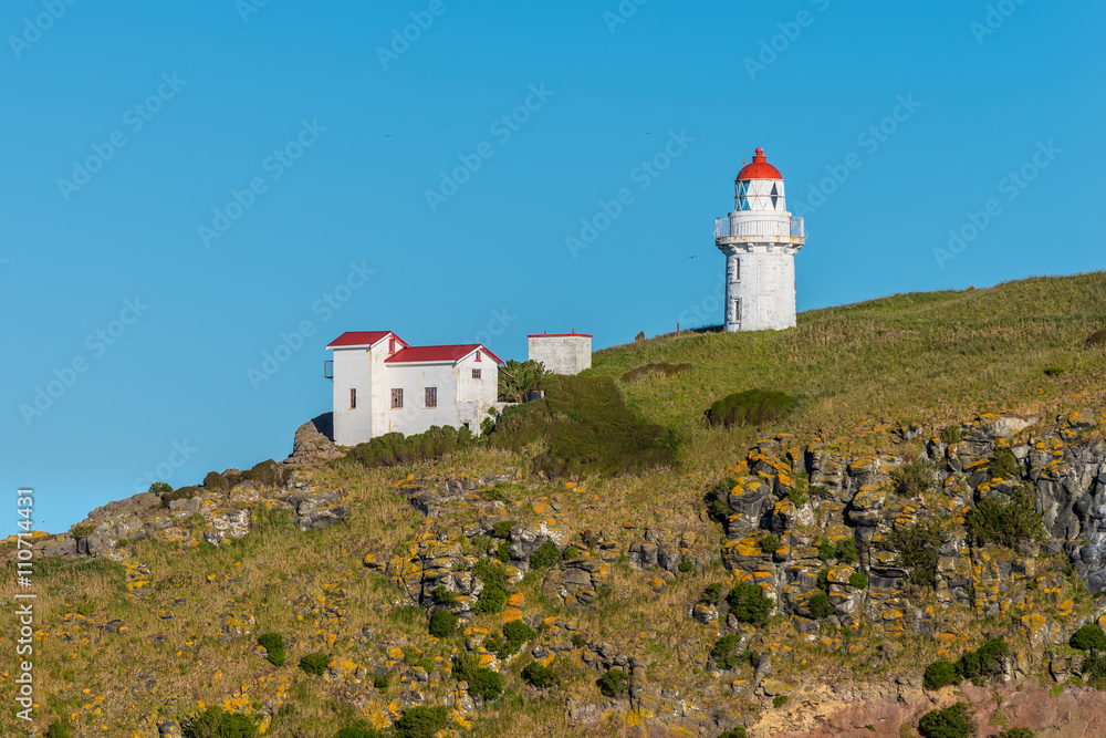Taiaroa Head Lighthouse - New Zealand
