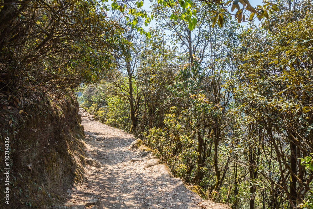 Fototapeta premium The trail in the Himalayas