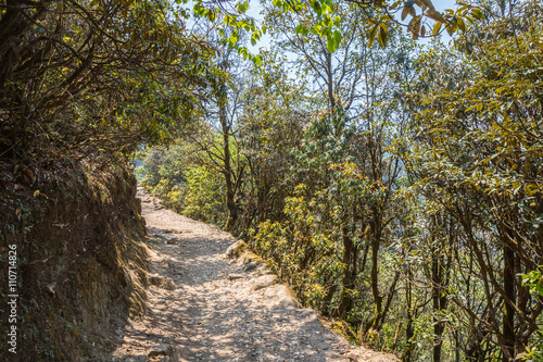 Fototapeta Naklejka Na Ścianę i Meble -  The trail in the Himalayas