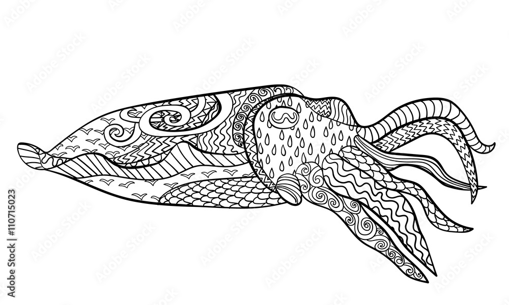 Fototapeta premium Cuttlefish with high details. 