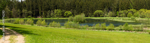 Beautiful summer rural landscape