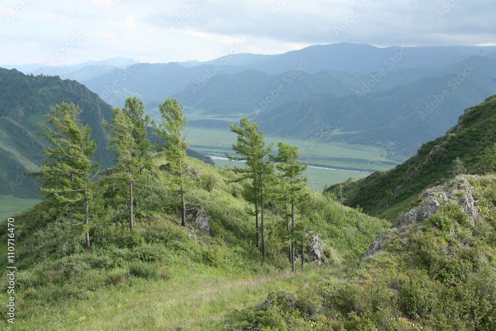 Obraz premium Altai region Russia mountain landscapes