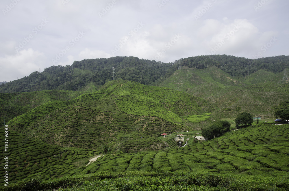 Fototapeta premium tilt shift effect from aerial view, group of car park at garden. hill and cloudy sky background