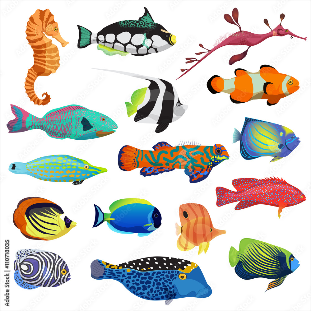 Tropical Fish Toys — Dogline
