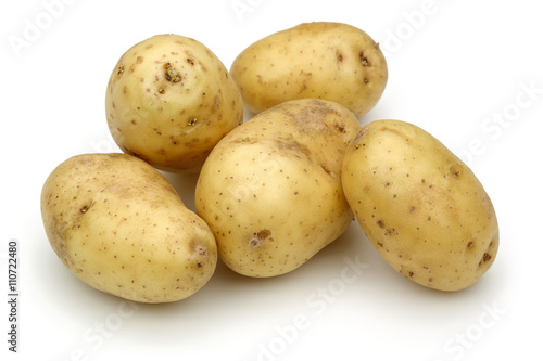 Potato group