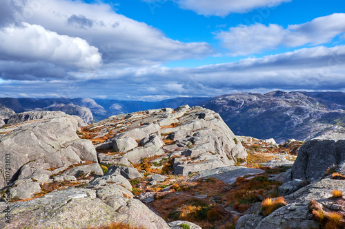 On the top of a fell with tussocks of yellow grass, on the way to the Pulpit Rock in Norway