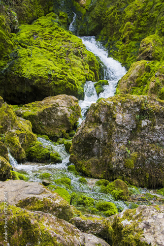 Stream of water through the rocks covered with moss.