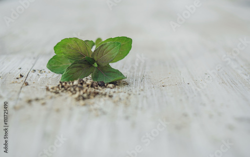 Mint leaves with ground pepper