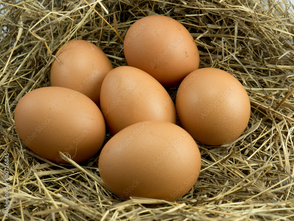 Seven Egg on a haystack