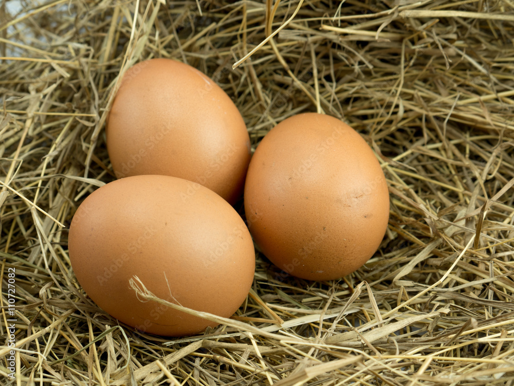 Three Eggs on a haystack