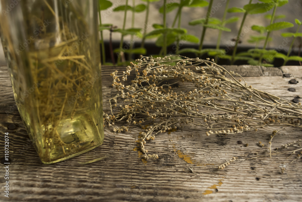 Dried wormwood and wormwood drink in a bottle StockFoto Adobe Stock