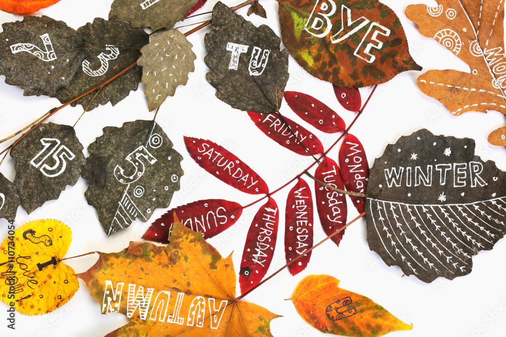 Naklejka premium autumn leaves with inscriptions