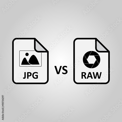 RAW vs JPG file on white background vector