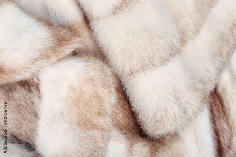 Obraz premium fur mink