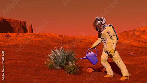 The plant image on Mars 3D illustration