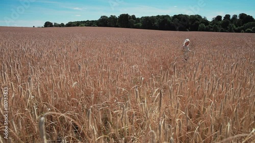 Girl in rye field photo