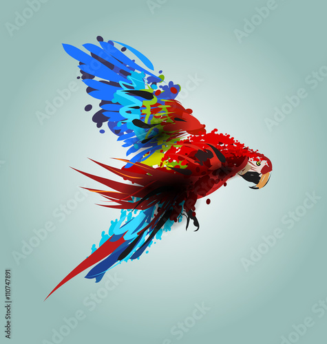 Digital vector illustration flying ara