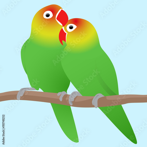 Vector illustration of lovebirds parrots.